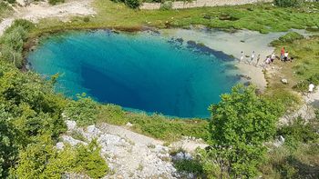  Cetina foly forrsa